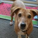 Looking for a good home-1