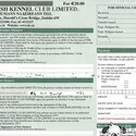 Nice affectionate thoroughbred female rottweiler-3